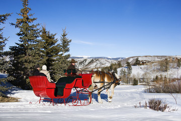 Winter sleigh ride.