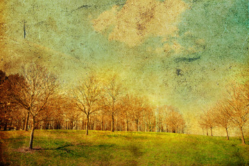 old-fashioned landscape