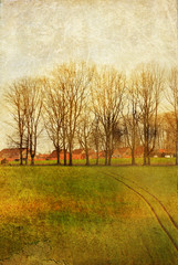 old-fashioned landscape