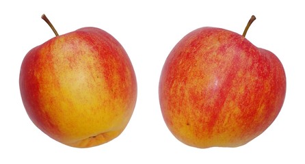 Two Apples isolated on a pure white background