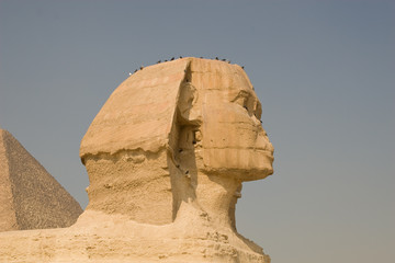 The Sphinx