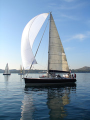 Fototapeta premium Sailing on calm