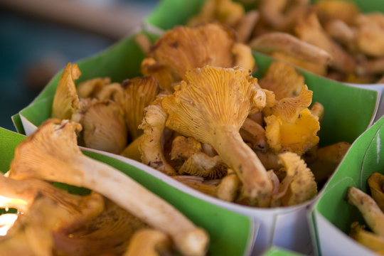 Barquettes de champignons frais