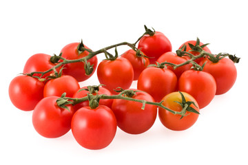 Branch of tomatoes
