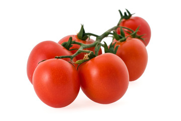 Branch of tomatoes