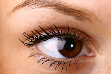 beautiful brown eye