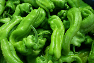 Pimientos verdes