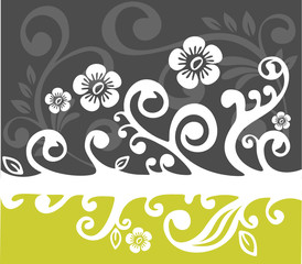 white flowers pattern