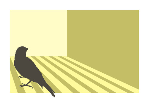 Canary bird silhouette with geometric background