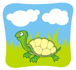 happy turtle