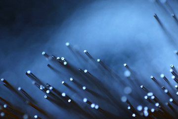 optical fiber