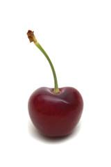 one cherry on white background