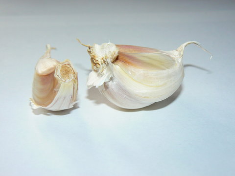 Knoblauch