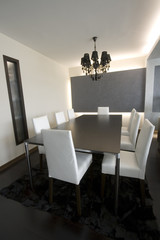 Trendy Modern Dining Room