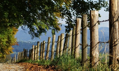 Autumnway