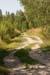 Obraz premium Wild Highway