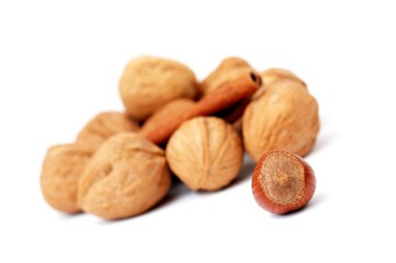 several walnuts, cinnamon and hazeluts on white background