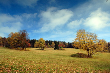 Autumn landscape