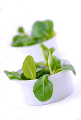salade