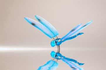 Dragonfly with Reflection