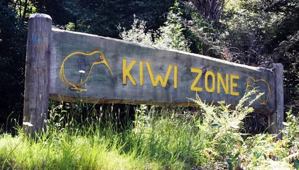 Schilderijen op glas Kiwi zone sign © Gina Smith