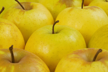 POMMES GOLDEN