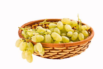 Autumn grapes