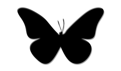Butterfly 004