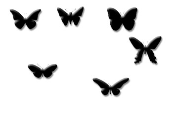 Butterfly 007
