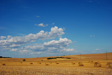 Erntezeit