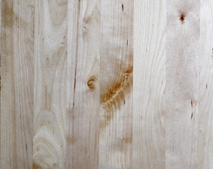 legno di betulla