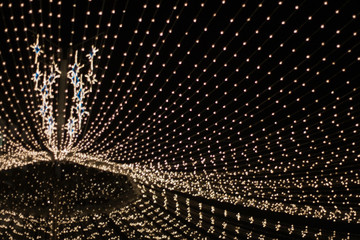 Lichter