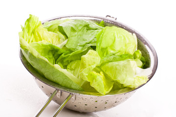 frischer Salat in Sieb