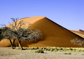 Pyramid - The Work Of Nature