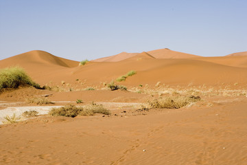 Fototapeta na wymiar Unbelivable Desert