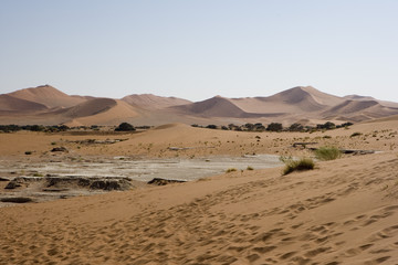 Fototapeta na wymiar African Desert