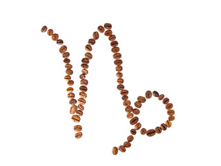 capricorn or ram zodiac sign