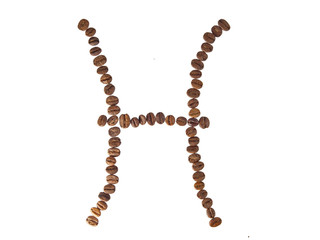 fish or pisces zodiac sign