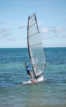 Windsurf Sailor
