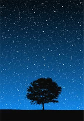 Wandaufkleber Baum unter Sternen © Noel Powell