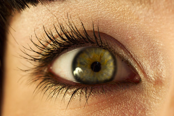 eye-6