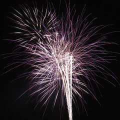 Obraz premium Fireworks at night.