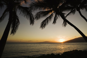 Obraz premium Tropical Hawaiian sunset.