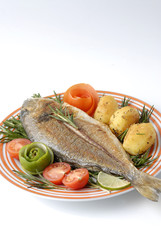 Dorade mit Rosmarin