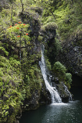 Fototapeta na wymiar Tropical waterfall.