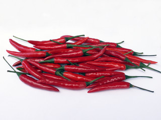 chilli