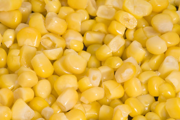 corn