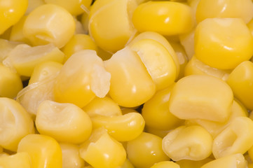 maize macro