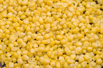 maize
