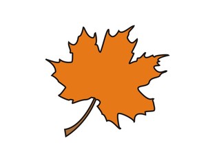 maple leaf